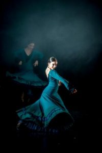 Festival Danza Fundación Neuroblastoma