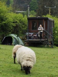 Neuroblastoma Slow Travel